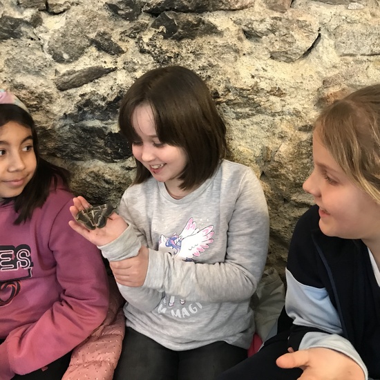 2020_02_27_3º visita Insectpark (5)_CEIP FDLR_Las Rozas 11