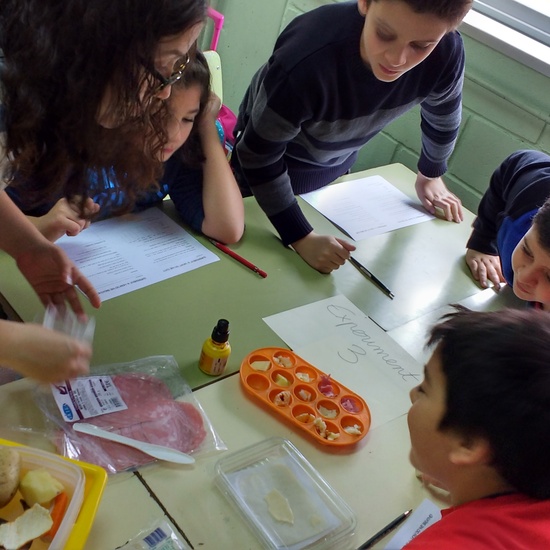 Clases de ciencias muy prácticas