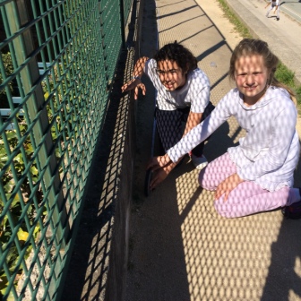 Quinto mide el Colegio 33