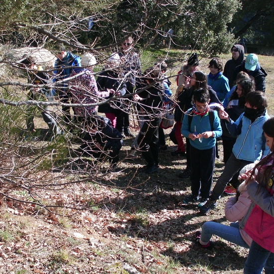 6º CERCEDILLA 2019 12