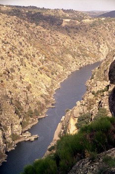 Arribes del Duero, Zamora