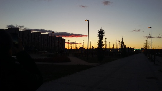 Camila Castillo Araujo 3ºC IES SATAFI Concurso Fotografía Foto 2