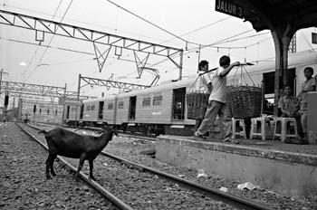 Vías del tren, Indonesia