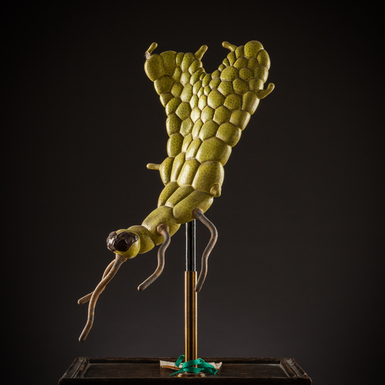 IES_SANISIDRO_BIOLOGIA_222