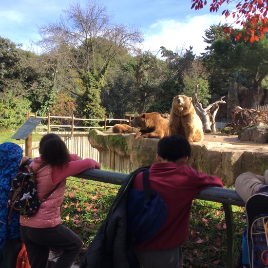 Excursión al zoo 5 años, 1º y 2º Luis Bello 23