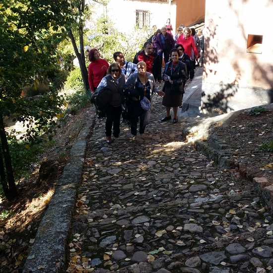 Fotos Excursión Ayllón 31