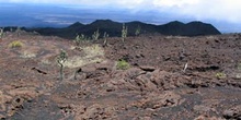 Campos de lava alrededor del Volcán Sierra negra en Isla Isabela