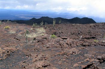 Campos de lava alrededor del Volcán Sierra negra en Isla Isabela