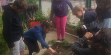 2019_05_Los alumnos de 4º en el Huerto_CEIP FDLR_Las Rozas 33