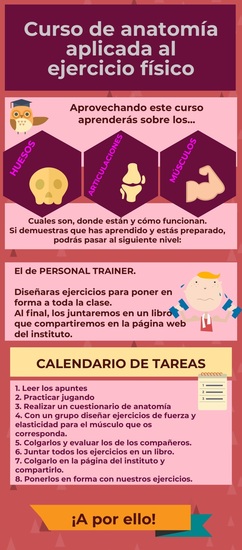 INFOGRACÍA CURSO ANATOMÍA