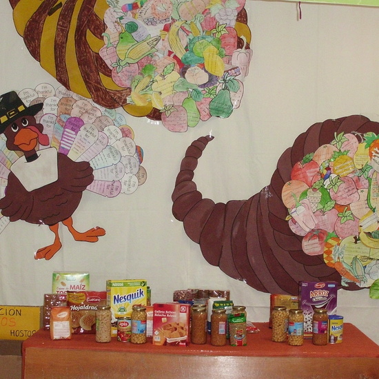 DÍA DE ACCIÓN DE GRACIAS. GRAN RECOGIDA DE ALIMENTOS 10