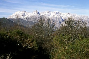 Picos de Europa. Cimas nevadas