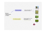 PRIMARIA 2º - CIENCIAS DE LA NATURALEZA - NATURAL CLASSIFICATION OF PLANTS