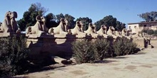 Avenida de esfinges, Karnak