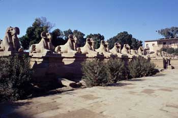 Avenida de esfinges, Karnak