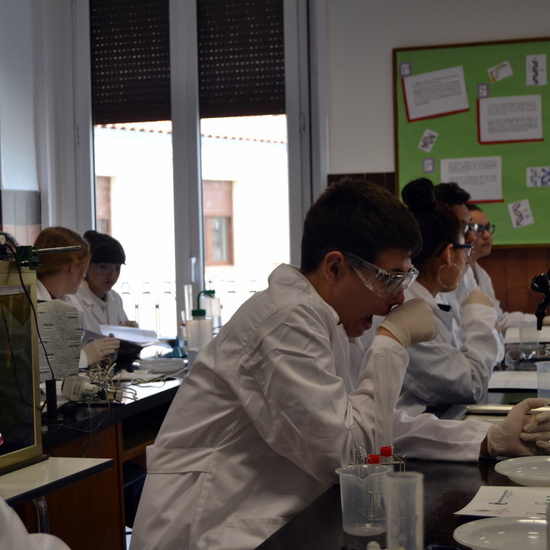 Proyecto de Aprendizaje y Servicio 42