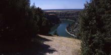Hoces del Duratón, Segovia, Castilla y León