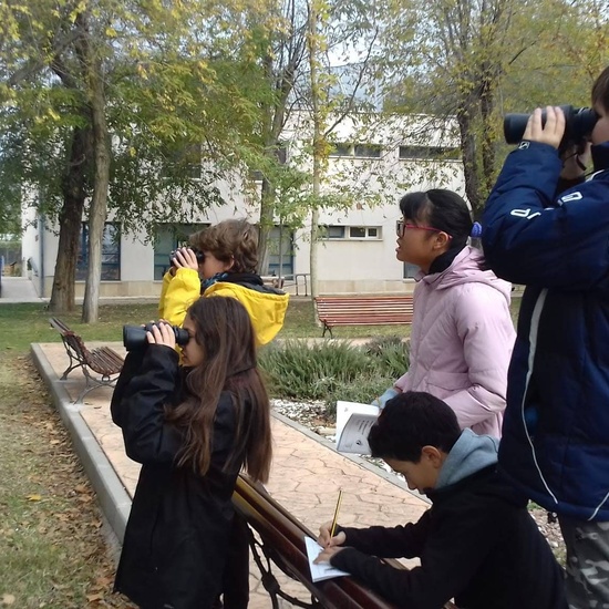 Albergue 5º- 2º día 50