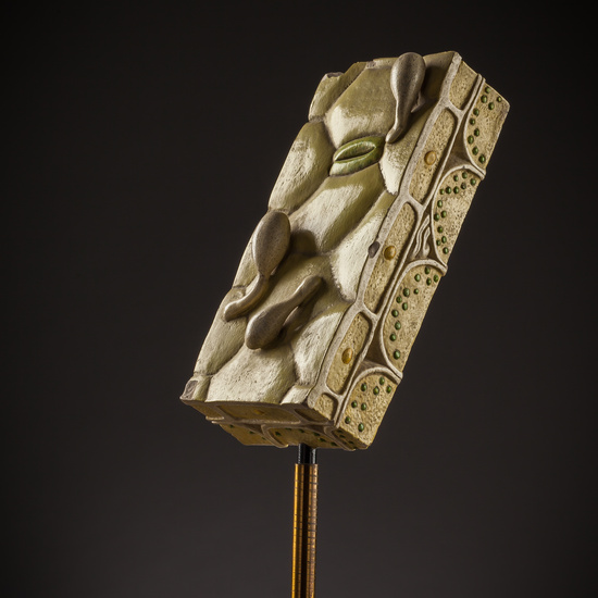 IES_SANISIDRO_BIOLOGIA_237