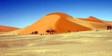 Duna 45 del desierto de Namib, Namibia