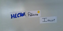 Insects 1ºA IES PAL 21-22