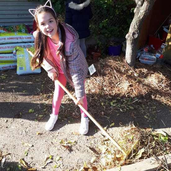 2019_11_08_4º empieza el mes de noviembre de forma muy ecológica_CEIP FDLR_Las Rozas 5