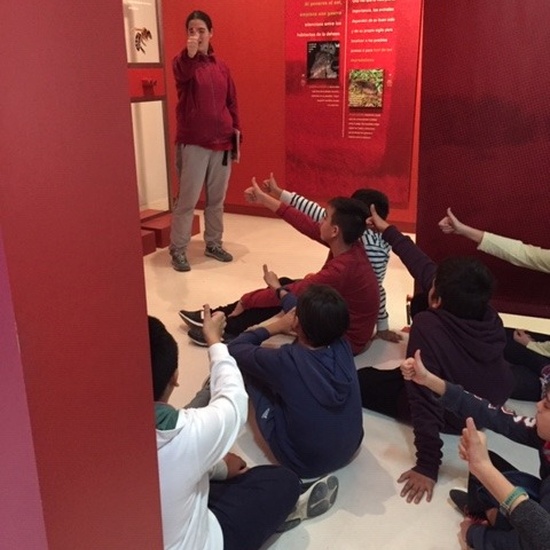 Centro de Interpretación de la Naturaleza. Montecarmelo. 6º curso. 18