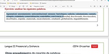 Lengua II Distancia Clase 17 20241111 - Género dimensional, siglas, el sustantivo y el adjetivo