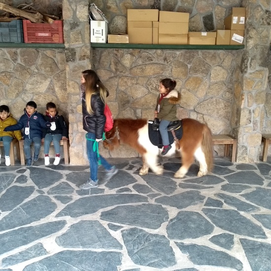 Granja de los Cuentos Infantiles II 35