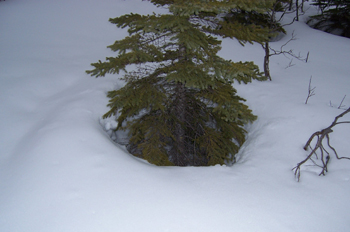 Nieve, Lago Louise, Parque Nacional Banff