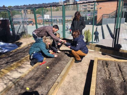 2018_02_23_CUARTO EN EL HUERTO ESCOLAR_CEIP FDLR_LAS ROZAS_2018 1