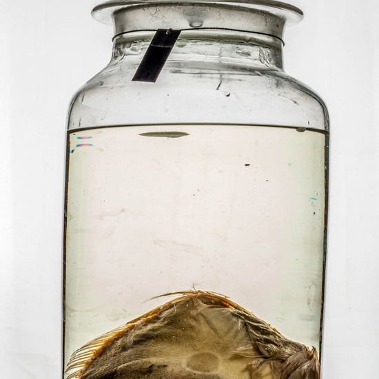 IES_CARDENALCISNEROS_CIENCIASNATURALES_365