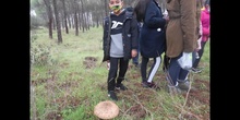 2020. AULA DE LA NATURALEZA. 4º PRIMARIA