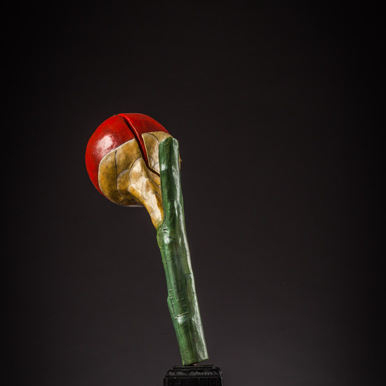 IES_ISABELLACATOLICA_BIOLOGIA_159