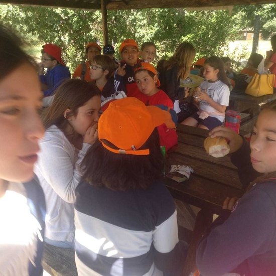 2019_06_14_4º de primaria en Cañada Real_CEIP FDLR_Las Rozas 10