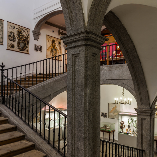 IES_SANISIDRO_EDIFICIO_031