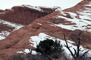 Montañas nevadas