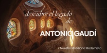 STEAM GAUDi 5º