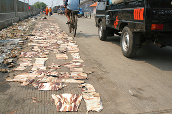 Secado en el suelo, Jakarta