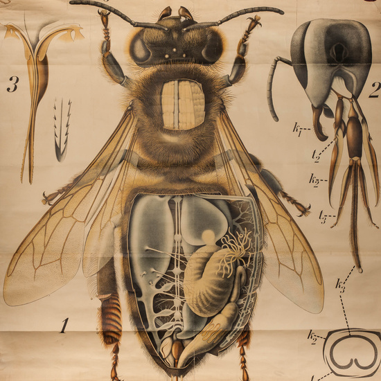 IES_RAMIRODEMAEZTU_BIOLOGIA_031