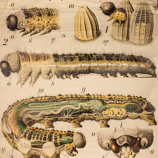 IES_RAMIRODEMAEZTU_BIOLOGIA_024