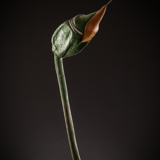 IES_SANISIDRO_BIOLOGIA_194