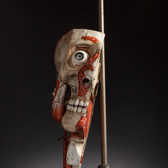 IES_CARDENALCISNEROS_ANATOMIA_MODELOS_091