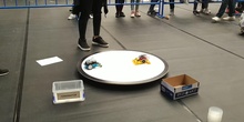 TERMINATOR (Robot Arduino sumo)