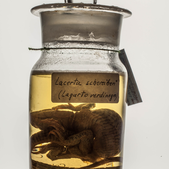 IES_CARDENALCISNEROS_CIENCIASNATURALES_222