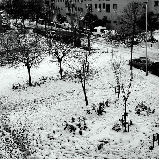 Fotografías Filomena 24