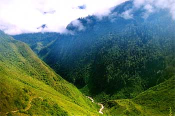 Vistas de las vías de comunicación del valle de Baliem, Irian Ja