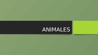 animales