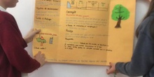 PRIMARIA - 5º - PARQUES NACIONALES 2 - LENGUA Y LITERATURA - ACTIVIDAD
