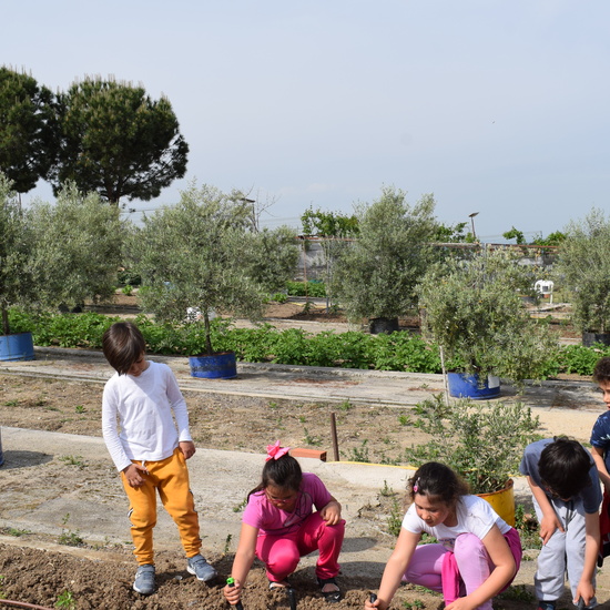 Siembra Huerta Balta 5 años 2018 29
